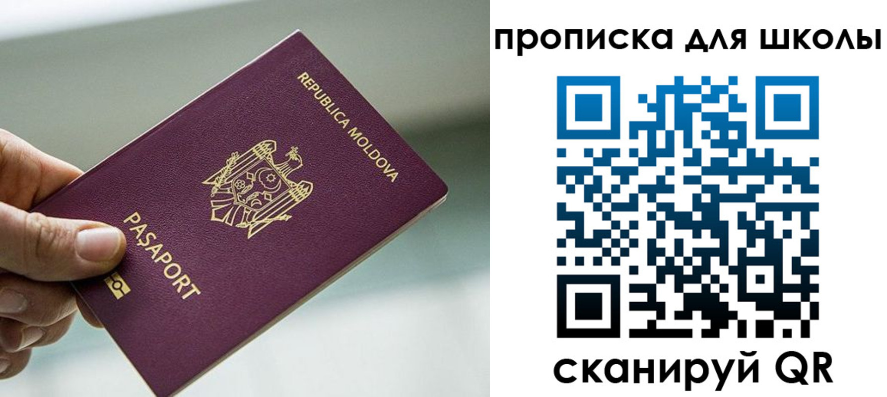 прописка в квартире в Калининграде